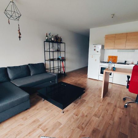 T2 Bis Avec Terrasse Vue Montagne Proche Mer, Commerces Et Biarritz Bidart Eksteriør billede